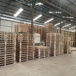 Dkwoodwork-pallets.com ผลิต และ จำหน่าย พาเลทไม้ ราคาถูก (1)